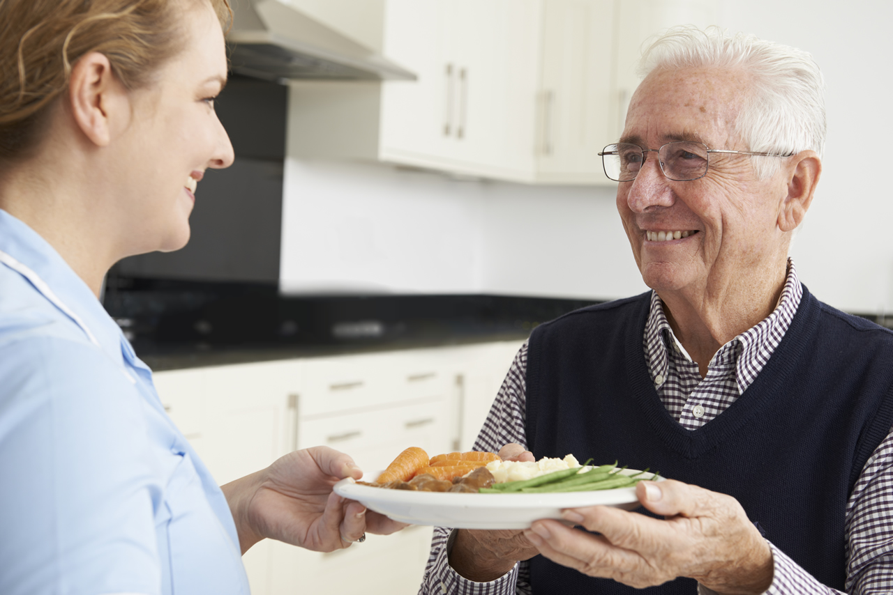 senior prepared meals lawton